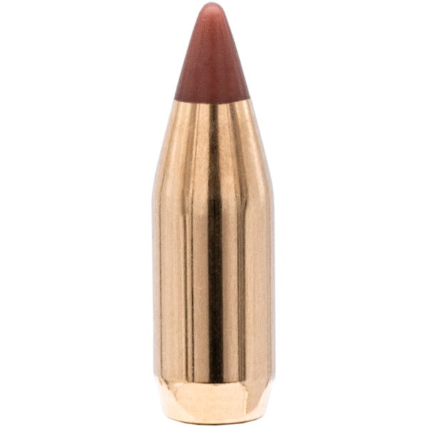Hornady NTX 17 Caliber (.172 Diameter) Bullets 15.5 grain Polymer Tip Box of 100