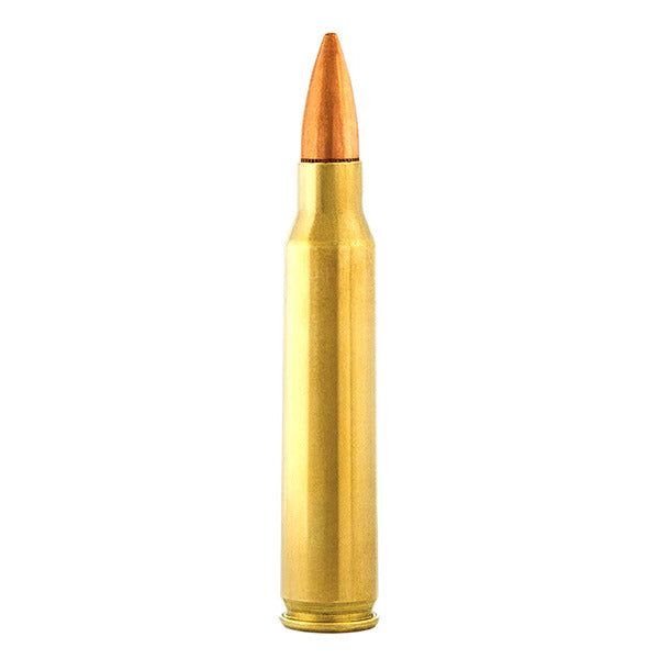 Aguila 5.56x45mm NATO Ammunition 55 Grain Full Metal Jacket Box of 300