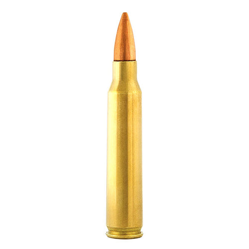 Aguila 5.56x45mm NATO Ammunition 55 Grain Full Metal Jacket Box of 300