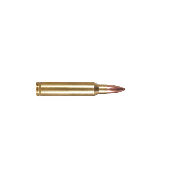 ARMSCOR AMMO 223 REMINGTON 55gr FMJ VALUE PACK 100bx 12cs