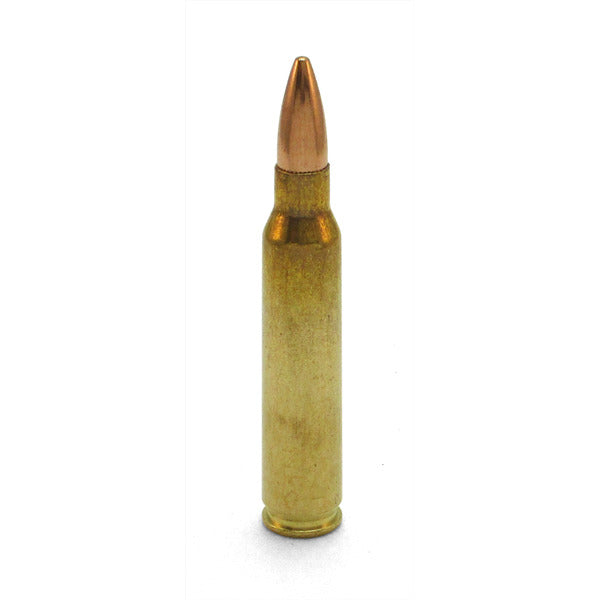 Prvi Partizan Rangemaster 5.56x45mm NATO Ammunition 55 Grain Full Metal Jacket Box of 20