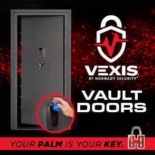 Hornady Vexis Premium 36"x80" Vault Door with Electronic Lock Gray