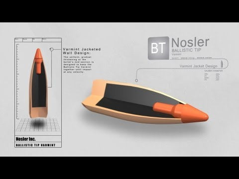Nosler Ballistic Tip Varmint