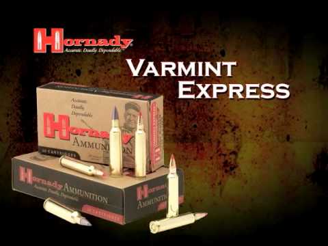 Hornady® Varmint Express Ammunition