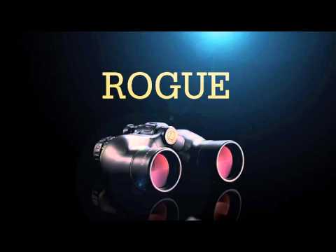 Leupold BX-1 Rogue Binocular